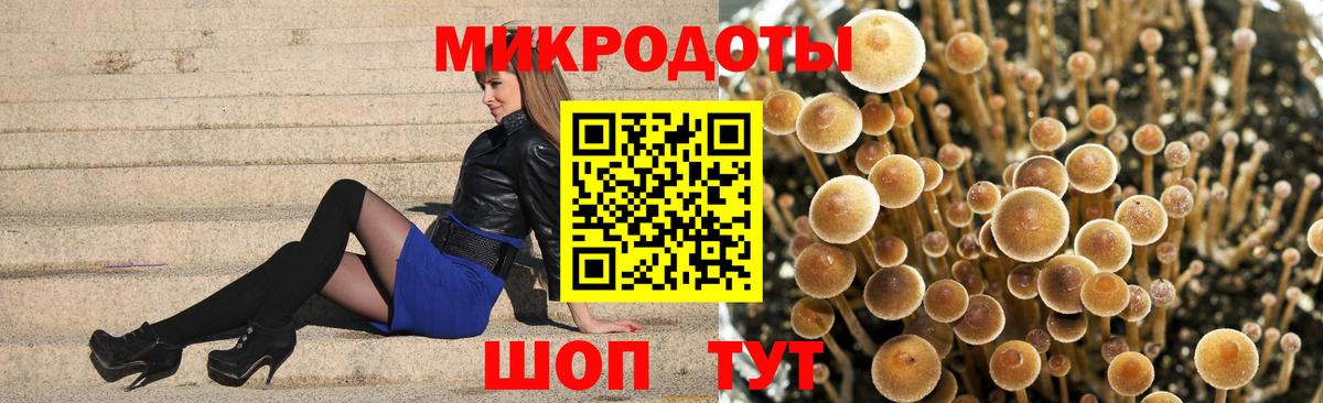 как найти   Галлюциногенные грибы Cubensis  Вход с VPN  Кохма  Галлюциногенные грибы мухоморы 